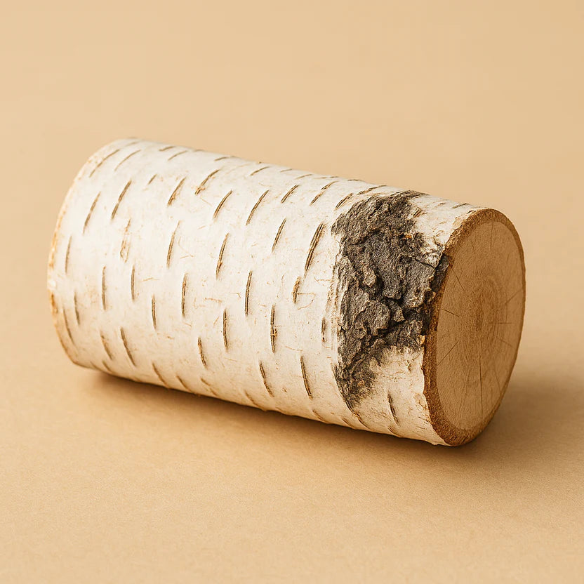 Extrakt z kôry brezy bielej - 100 mg